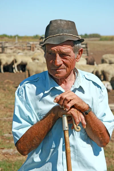 Old Shepherd — Stock Photo, Image