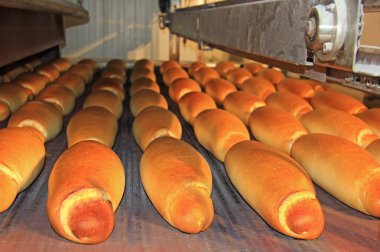 pişmiş somun ekmek fırını içinde