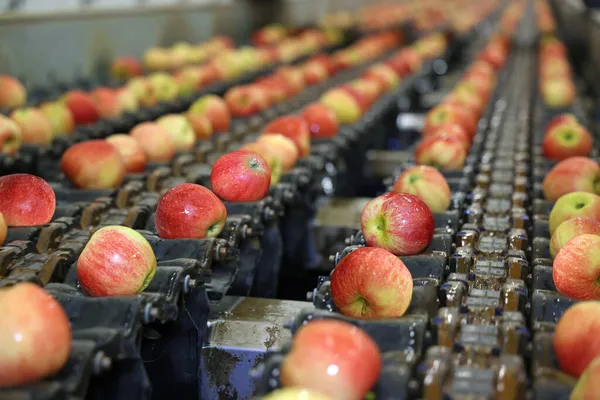 Clean Fresh Apples Moving Conveyor Sorting Grading Machine Fruit Packing — Stock Photo, Image