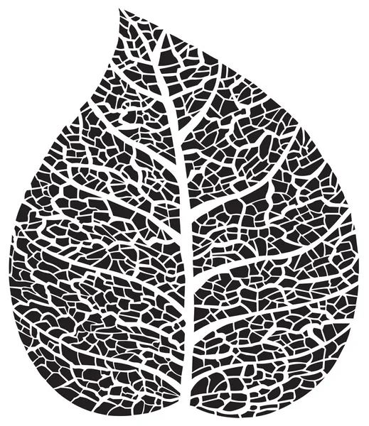 Φύλλα μαύρο σκελετό σιλουέτα — Διανυσματικό Αρχείο