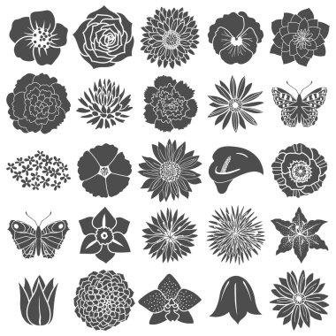 soyut düz çiçek kümesi.