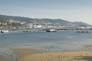 Vigo Ria