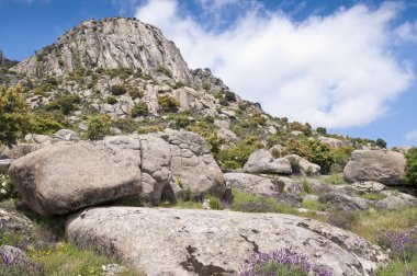 Pico de la Miel (bal üst noktası)