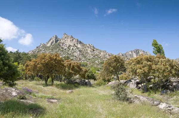 Paesaggio montano alla Sierra de la Cabrera — Foto Stock