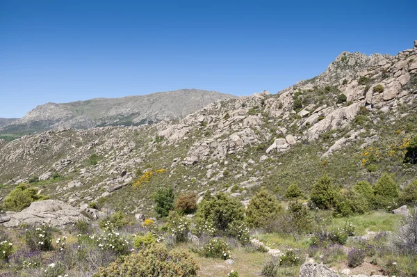 Berglandschap — Stockfoto