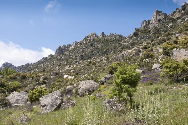 Paesaggio montano — Foto Stock