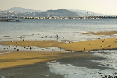 Vigo Ria