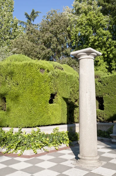 Column and garden — Stock Photo, Image