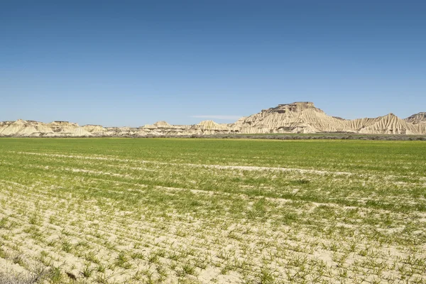 Bardenas Reales — Stockfoto