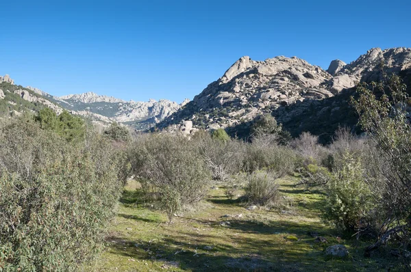 Uitzicht op la pedriza, madrid, Spanje. — Stockfoto