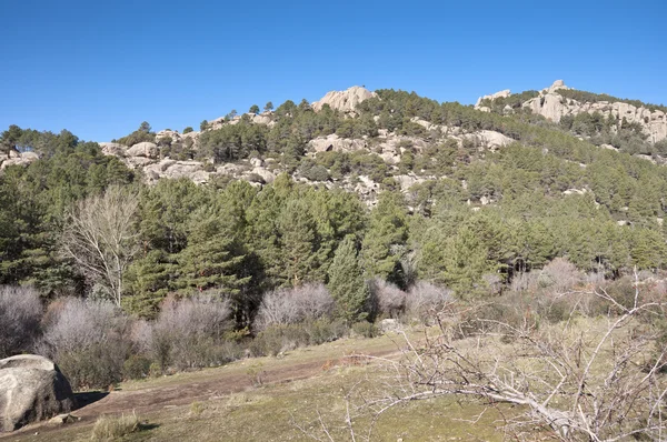 La Pedriza — Fotografia de Stock