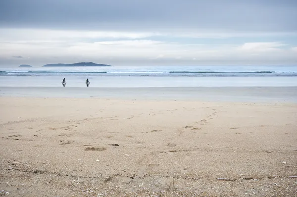 Andar de bicicleta na praia . — Fotografia de Stock