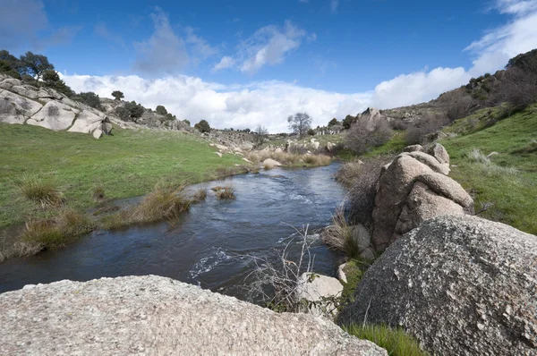 Sungai Manzanares — Stok Foto