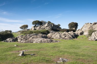 Dehesa de Navalvillar