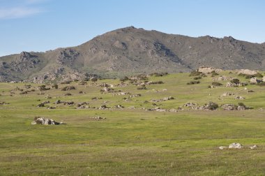 Dehesa de Navalvillar