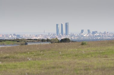Madrid şehir