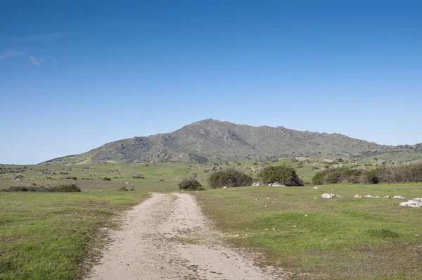 Cerro de San Pedro — Foto de Stock