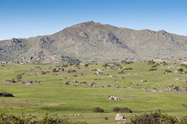 Cerro de San Pedro — Stockfoto