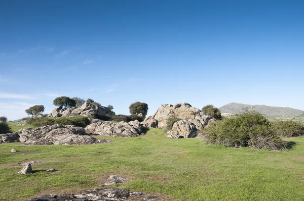 Dehesa de Navalvillar — Stockfoto