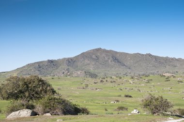 Cerro de San Pedro