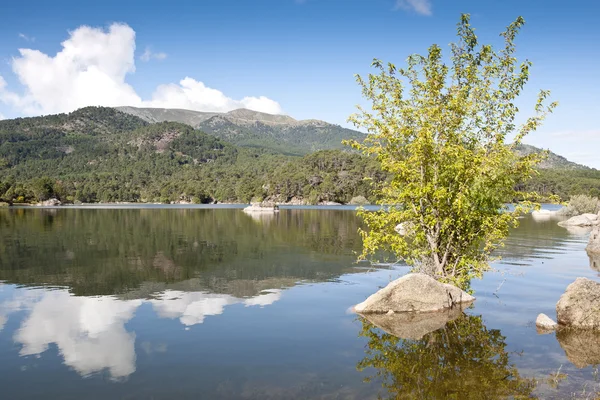 Stausee von el burguillo — Stockfoto