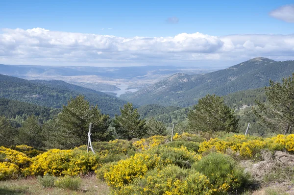 Vistas del Valle de Iruelas — Foto de Stock