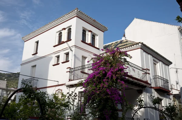 Casas tradicionais em Ubrique — Fotografia de Stock