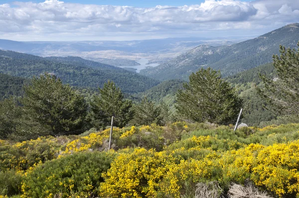 Parque Natural del Valle de Iruelas — Foto de Stock