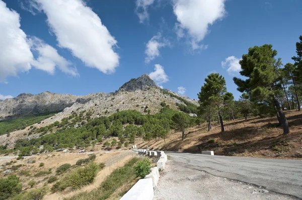 Přírodní park Grazalema — Stock fotografie