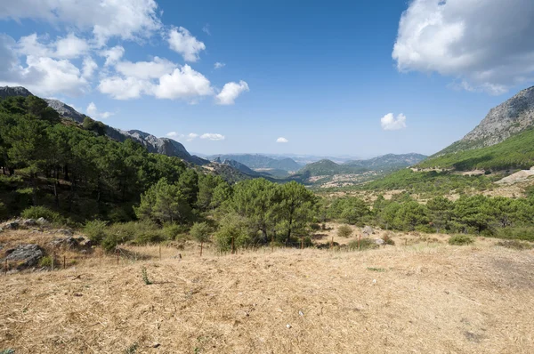 Parque natural de grazalema — Fotografia de Stock