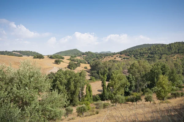 Andalusische platteland — Stockfoto