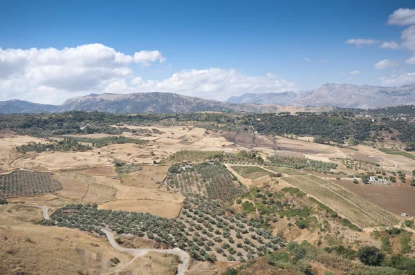 Andalusian countryside — Stock Photo, Image