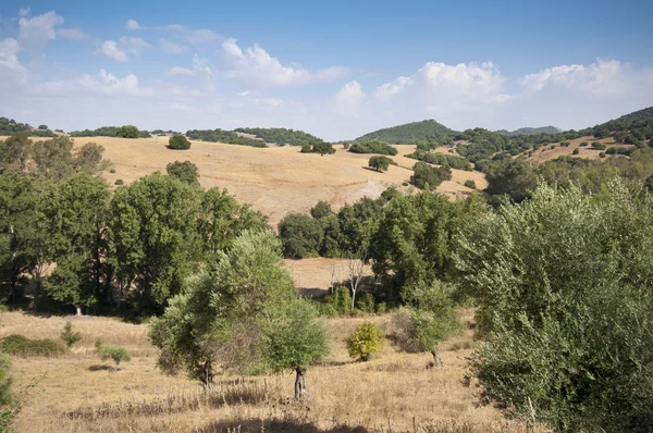 Andalusische platteland — Stockfoto
