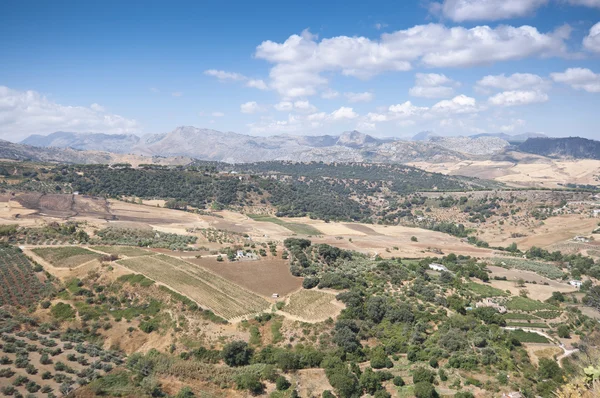 Andalusische platteland — Stockfoto