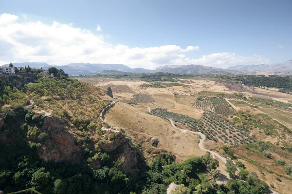 Andalusian countryside — Stock Photo, Image