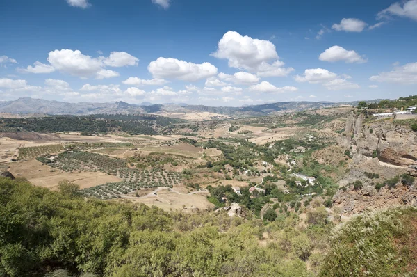 Andalusische platteland — Stockfoto