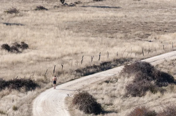 Courir sur une route de campagne . — Photo