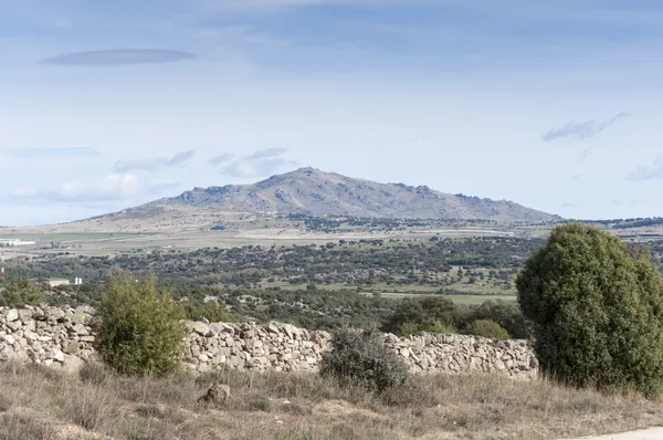 Stenek och juniper dehesa — Stockfoto