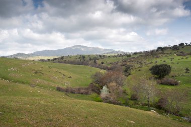 Navalvillar Dehesa 'daki Tejada deresinin manzarası, Colmenar Viejo, Madrid, İspanya