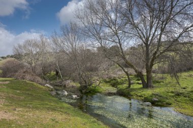 Navalvillar Dehesa 'daki Tejada deresinin manzarası, Colmenar Viejo, Madrid, İspanya