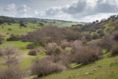 Navalvillar Dehesa 'daki Tejada deresinin manzarası, Colmenar Viejo, Madrid, İspanya