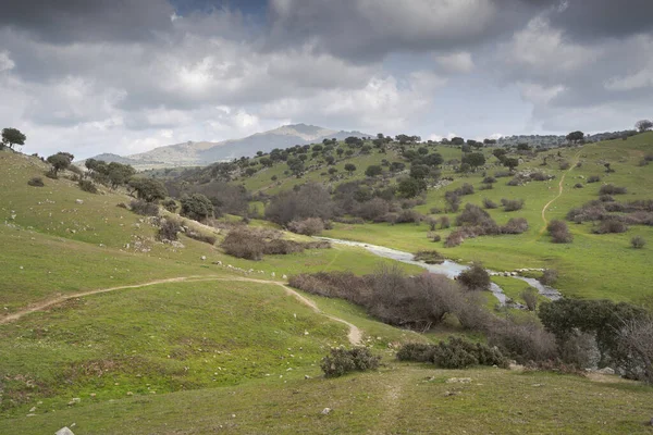 Views Tejada Stream Dehesa Navalvillar Colmenar Viejo Madrid Spain — Stock Photo, Image