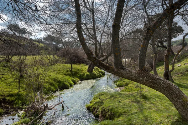 Vistas Del Arroyo Tejada Dehesa Navalvillar Colmenar Viejo Madrid España — Foto de Stock