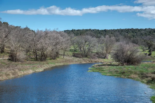 Veduta Del Torrente Valdesaelices Vicino Alla Sua Foce Presso Serbatoio — Foto Stock