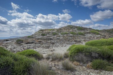 Favaritx Burnu 'ndaki Akdeniz fundalıkları, Mahon belediyesi, Menorca, İspanya