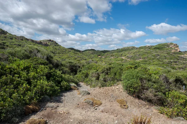 Mediterrane Buschland Kap Von Favaritx Gemeinde Mahon Menorca Spanien — Stockfoto