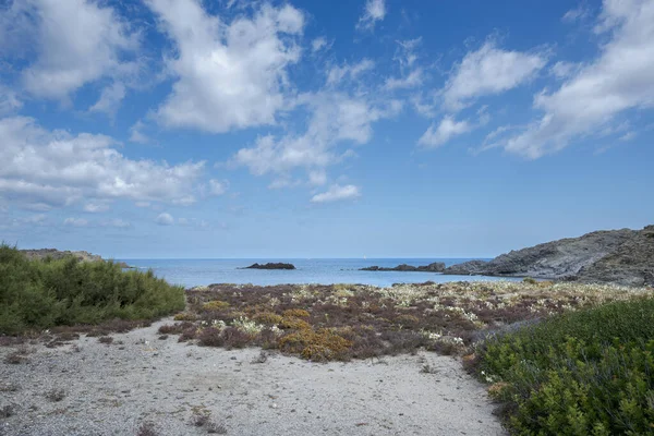 Psammophile Pflanzengemeinschaften Kap Von Favaritx Gemeinde Mahon Menorca Spanien — Stockfoto