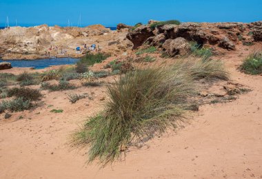 Es Mercadal, Menorca, Balear Adaları, İspanya 'daki Psammophile fabrikası