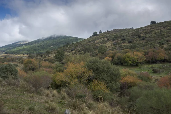 Vista Sul Torrente Mediano Nella Valle Hueco San Blas Luogo — Foto Stock