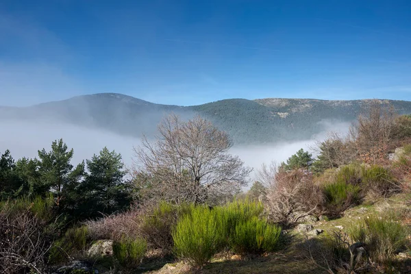 Sea Clouds Fuenfria Valley Municipality Cercedilla Province Madrid Spain — Foto de Stock